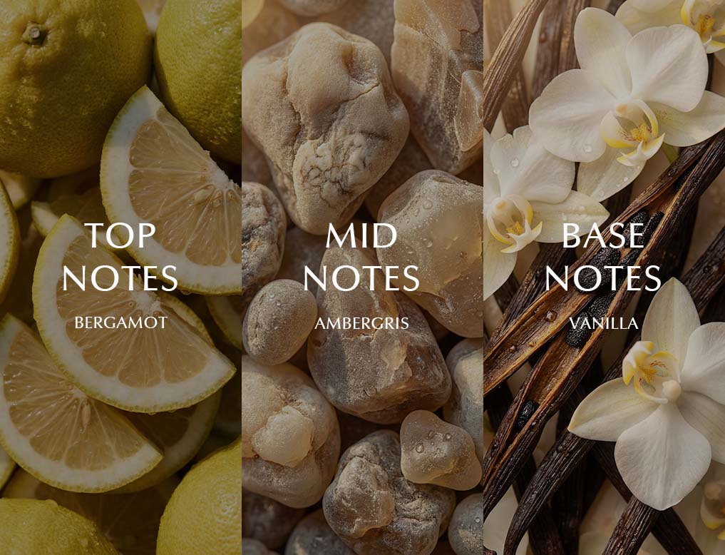 notes