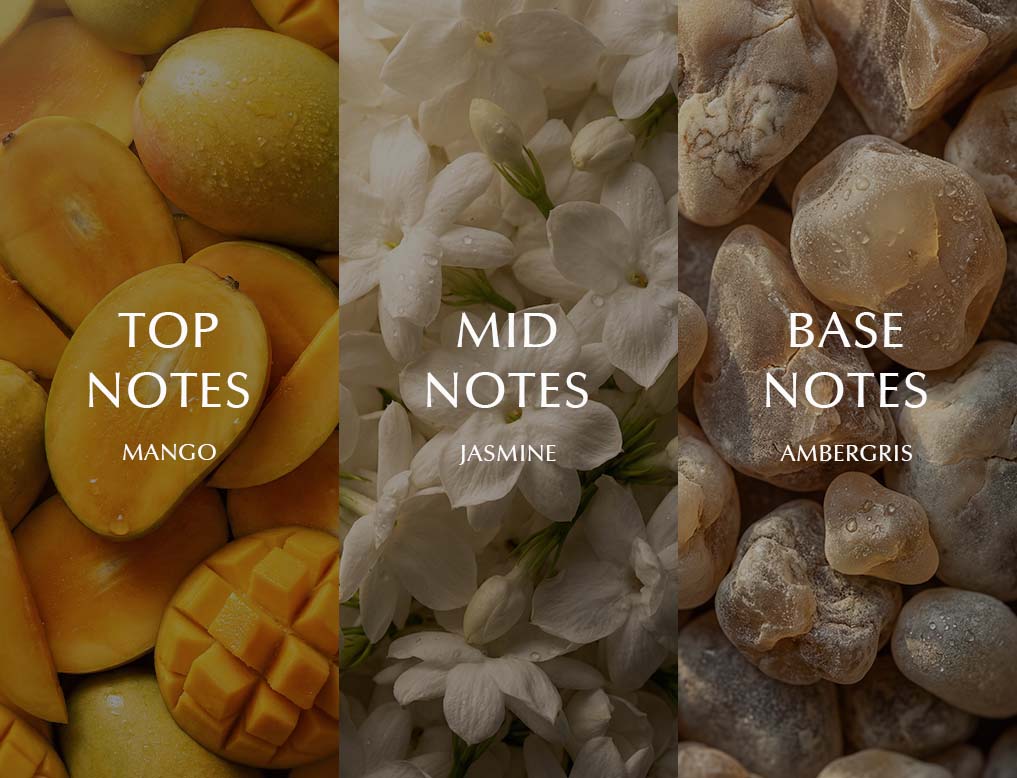 notes