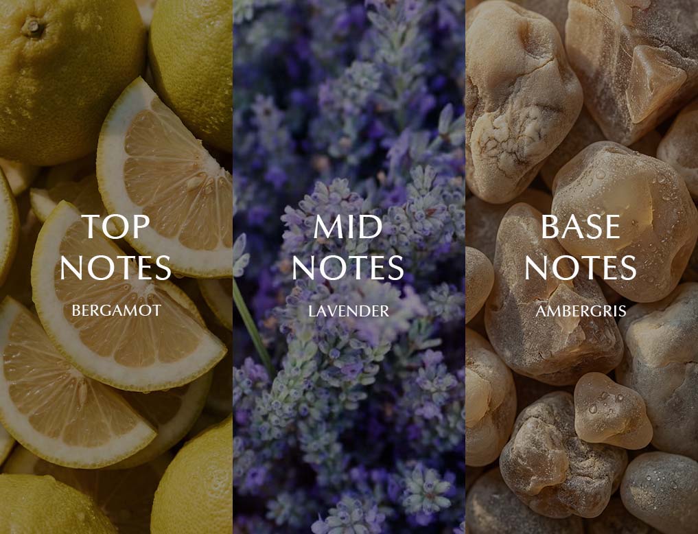notes