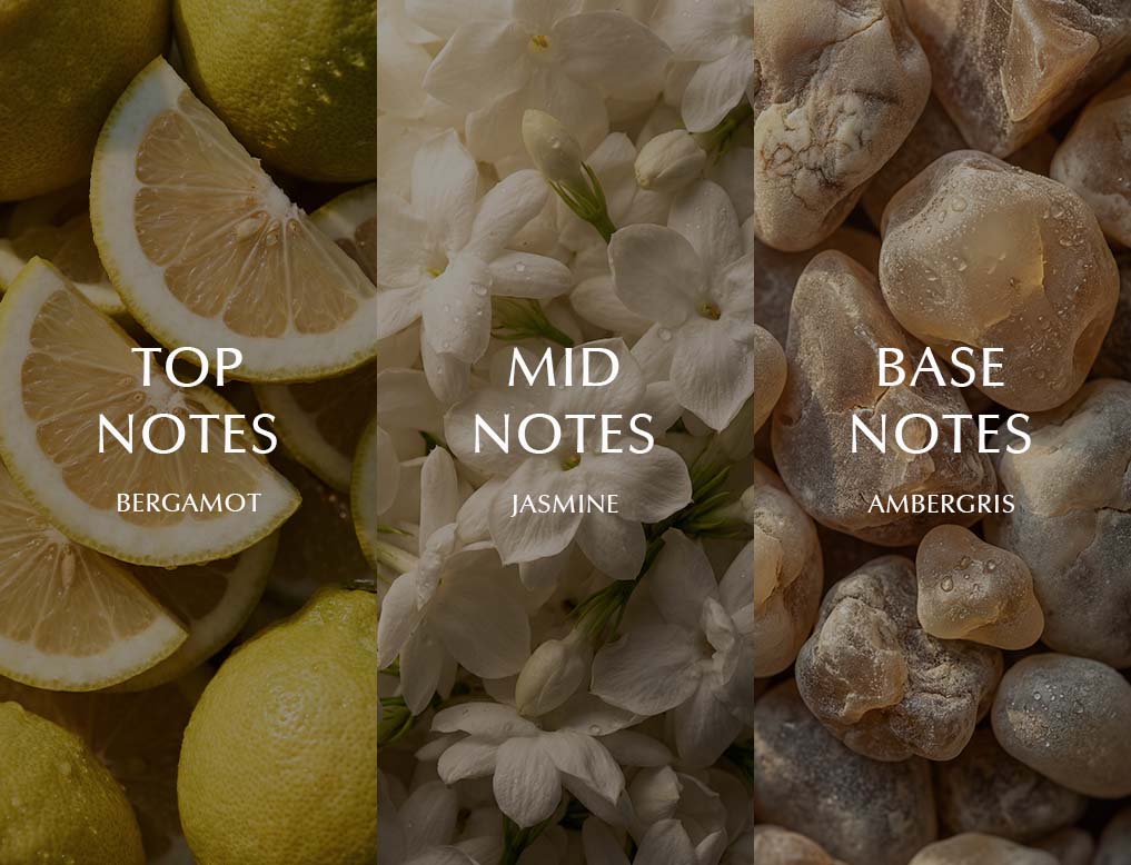 notes
