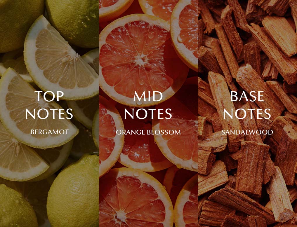 notes